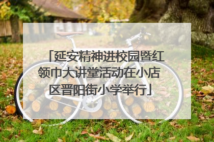 延安精神进校园暨红领巾大讲堂活动在小店区晋阳街小学举行